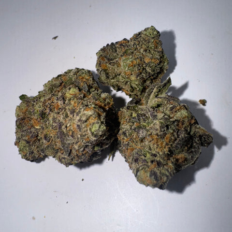 White Rhino